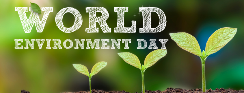 Taking action towards a sustainable future